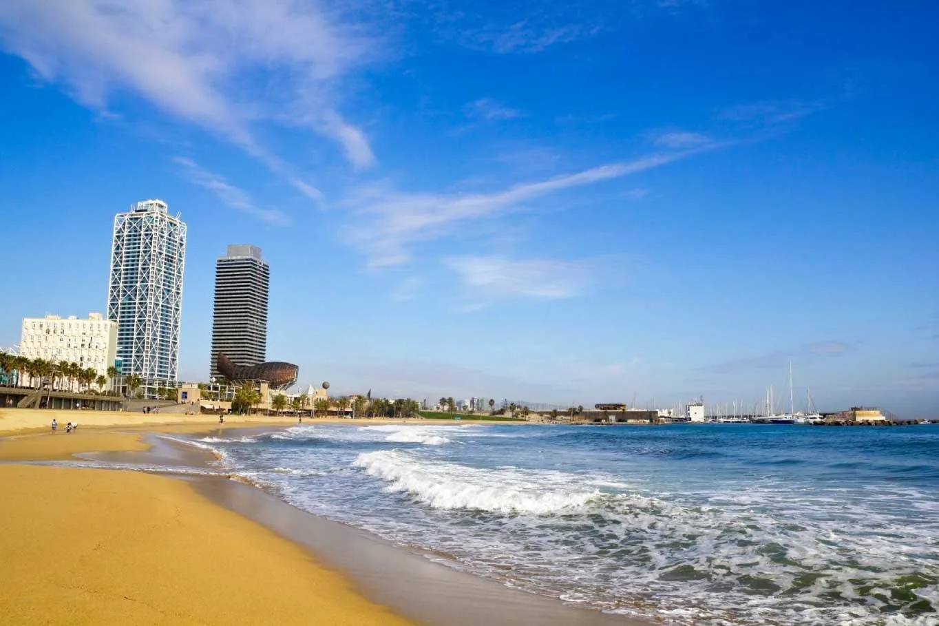 Efecto de desplazamiento de la imagen